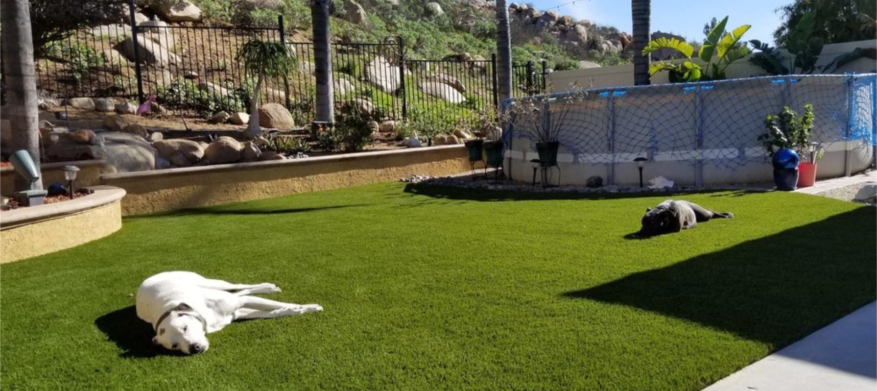 Pet Turf Systems for backyards, dog runs, dog parks, kennels, Anaheim