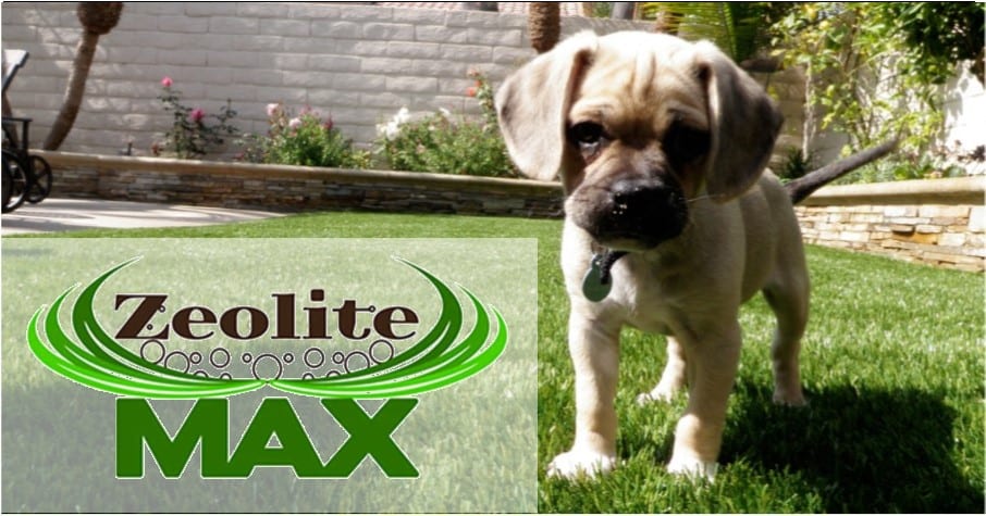 Pet Turf Systems for backyards, dog runs, dog parks, kennels, Anaheim