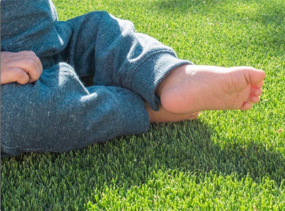 Artificial Grass Cleaning, Anaheim Artificial Grass