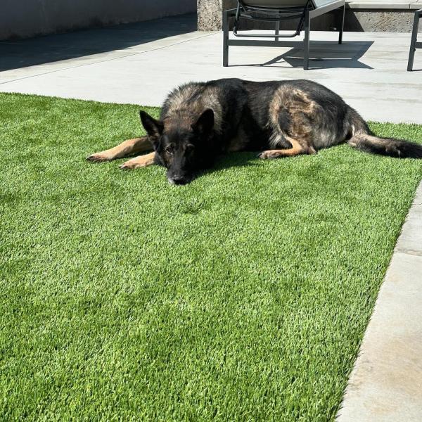 Brea. CA, Artificial Grass, Pavers & Turf Maintenance Services