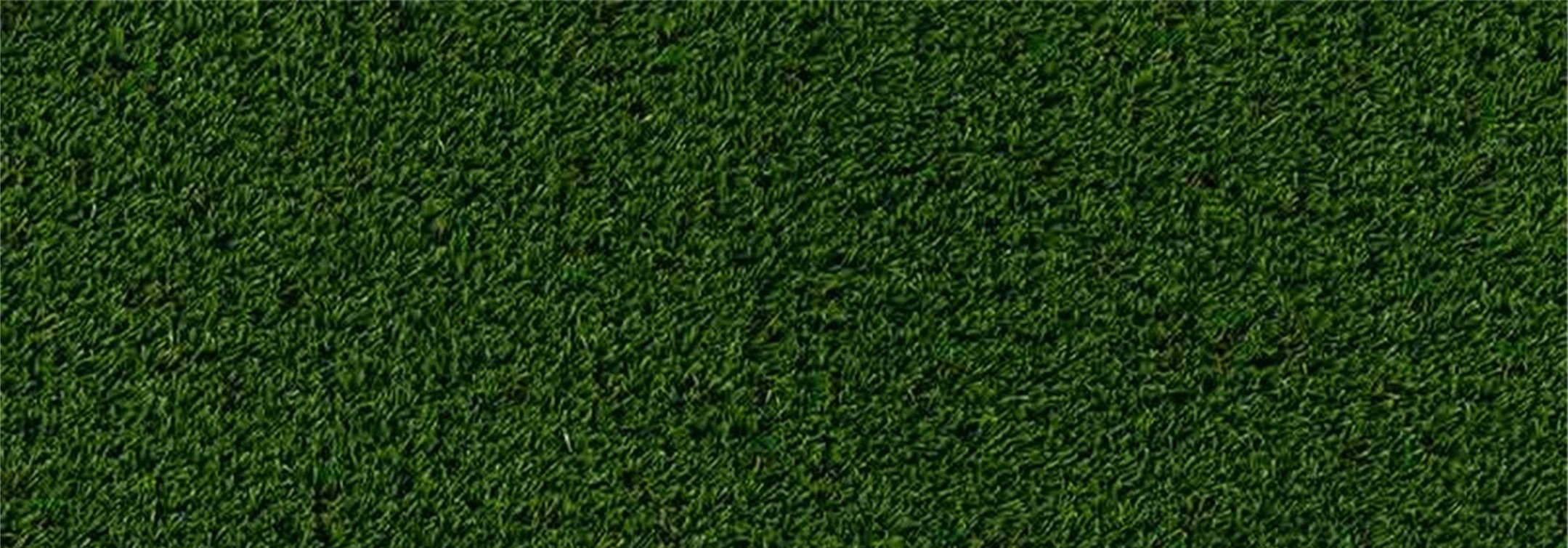 Oakmont Artificial Grass, Anaheim Artificial Grass