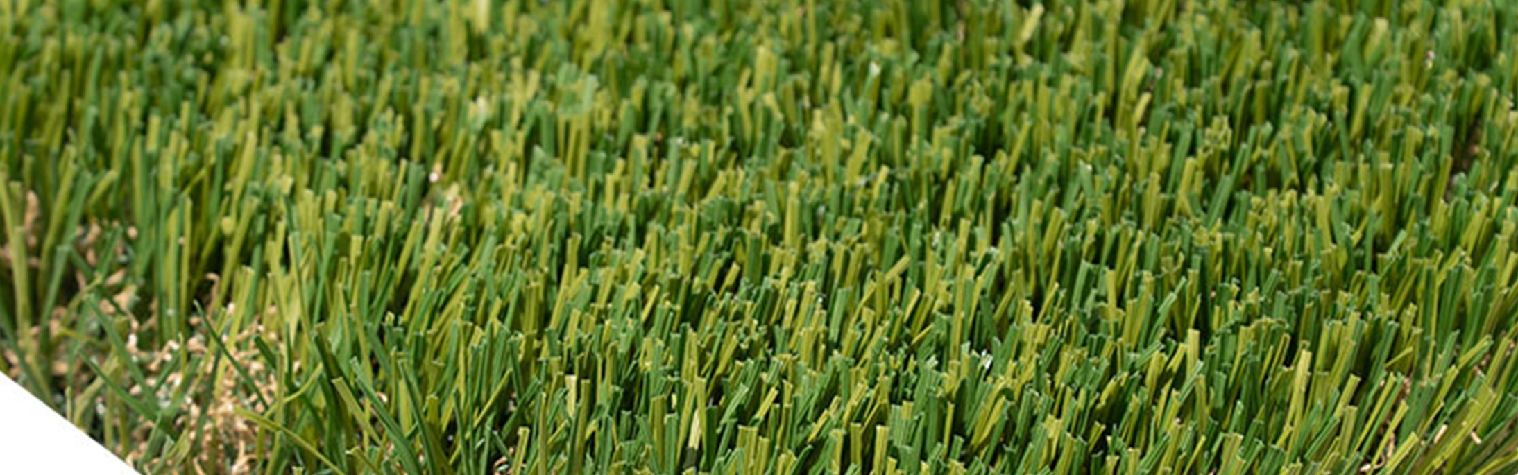 Oakmont Supreme Artificial Grass, Anaheim Artificial Grass